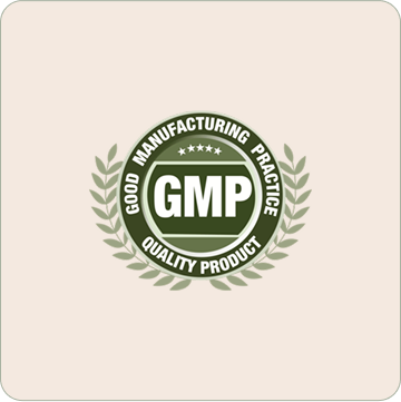 Good Manufacturing Practice (GMP)